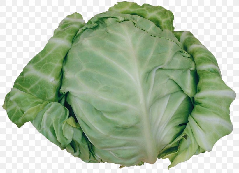 Savoy Cabbage Cruciferous Vegetables Spinach, PNG, 1024x742px, Organic Food, Brassica Oleracea, Cabbage, Chinese Cabbage, Collard Greens Download Free