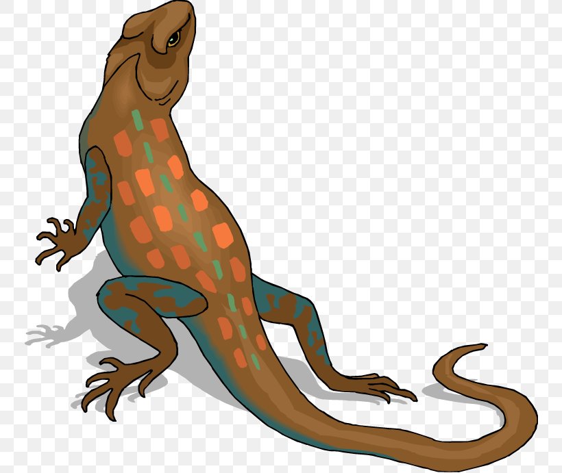 Texas Horned Lizard Reptile Clip Art, PNG, 750x691px, Lizard, Amphibian, Art, Cartoon, Drawing Download Free