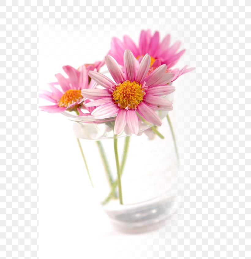 Transvaal Daisy Chrysanthemum Floral Design Argyranthemum Frutescens Cut Flowers, PNG, 567x847px, Transvaal Daisy, Argyranthemum Frutescens, Artificial Flower, Aster, Chrysanthemum Download Free