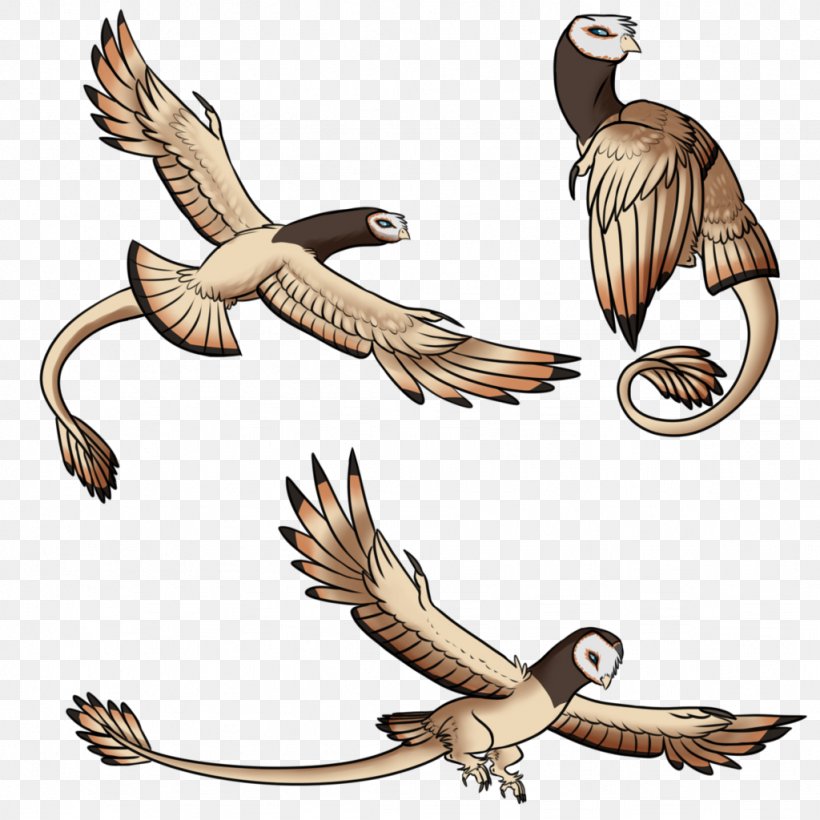 WILDLIFE (M) Bird Beak Feather Clip Art, PNG, 1024x1024px, Bird, Beak, Bird Of Prey, Buzzard, Eagle Download Free