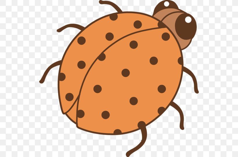 Color Ladybird Beetle Orange Clip Art, PNG, 550x540px, Color, Beetle, Carrot, Drawing, Food Download Free