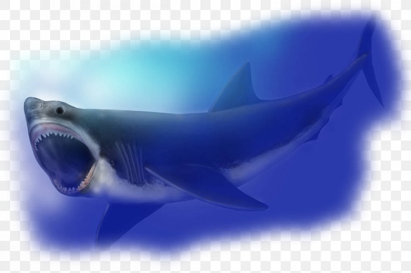 Megalodon Hungry Shark World Requiem Sharks Tomb Of Annihilation, PNG, 1200x797px, Megalodon, Biology, Blog, Blue, Carcharodon Download Free