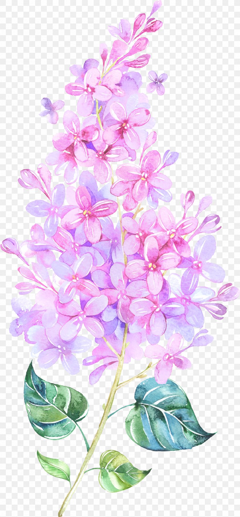Paper Watercolor Painting Flower Clip Art, PNG, 1576x3388px, Paper, Art, Branch, Canvas, Canvas Print Download Free