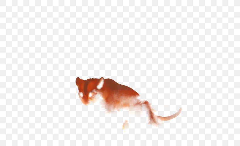 Rat Dog Mammal Snout Canidae, PNG, 640x500px, Rat, Canidae, Closeup, Dog, Dog Like Mammal Download Free