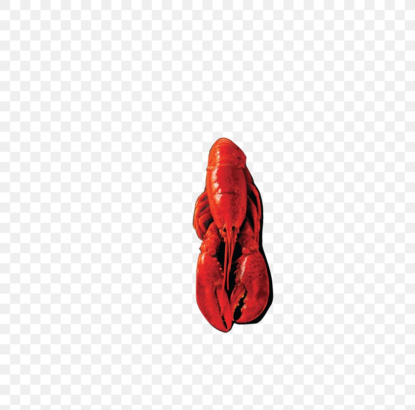 Red Shoe, PNG, 626x810px, Red, Boxing Glove, Shoe Download Free