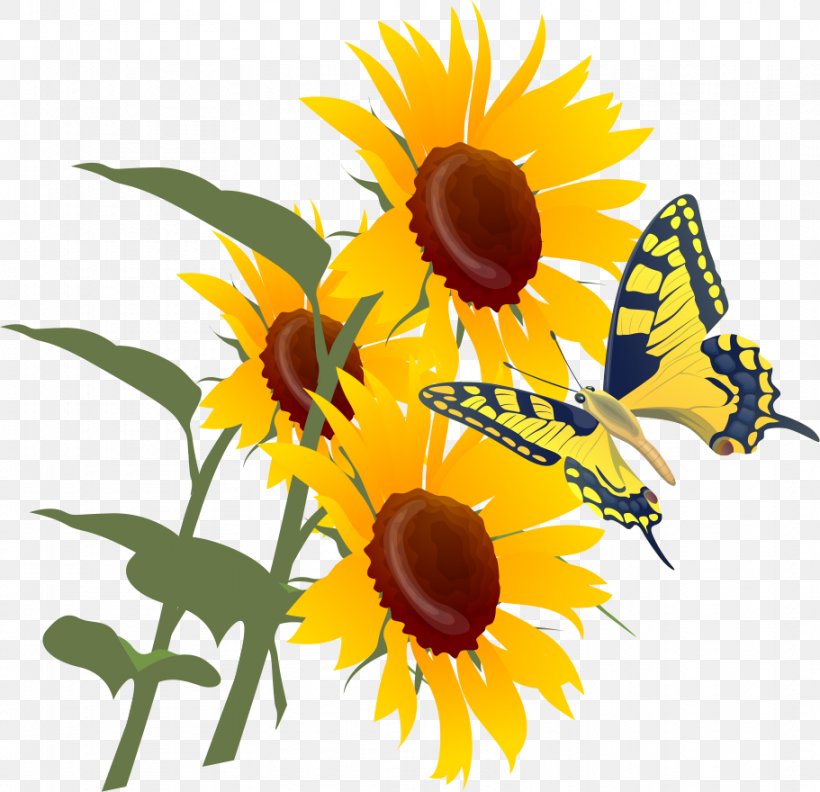 Sunflower Leaf, PNG, 911x880px, Cut Flowers, Animation, Comics, Common Sunflower, Daisy Family Download Free