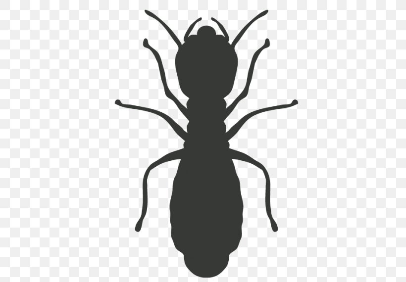 Cockroach Mosquito Pest Control Termite, PNG, 570x570px, Cockroach, Arthropod, Bed Bug, Black And White, Exterminator Download Free