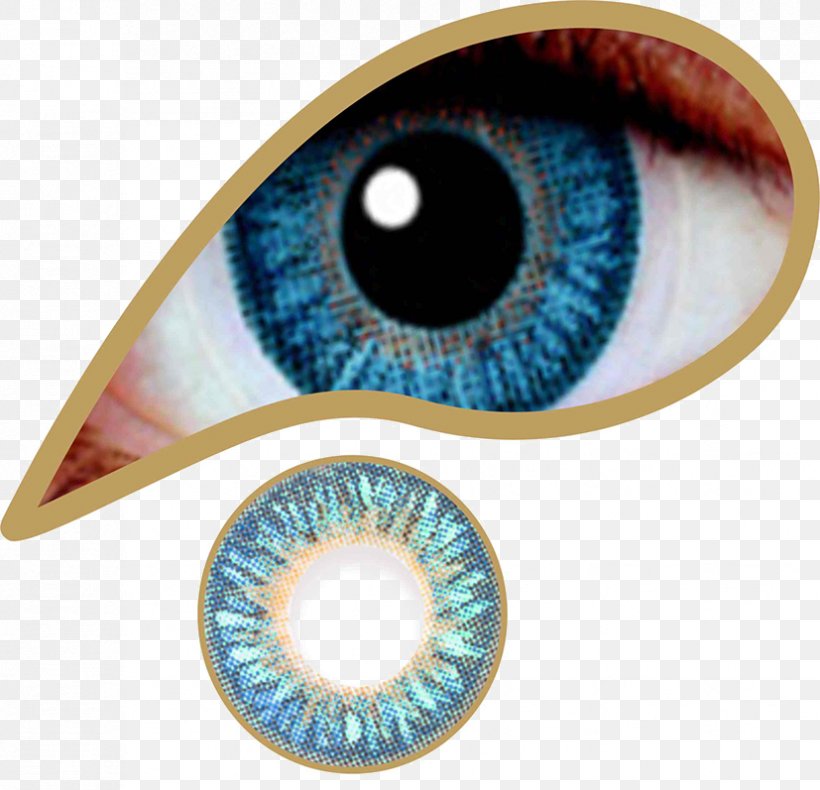 Contact Lenses Brown Circle Contact Lens Eye, PNG, 827x797px, Contact Lenses, Blue, Body Jewelry, Brown, Circle Contact Lens Download Free