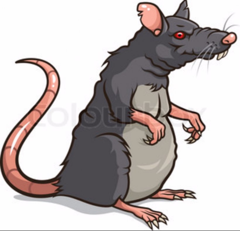 Rat Mouse Rodent Cartoon, PNG, 1278x1230px, Rat, Cartoon, Claw, Drawing,  Fauna Download Free