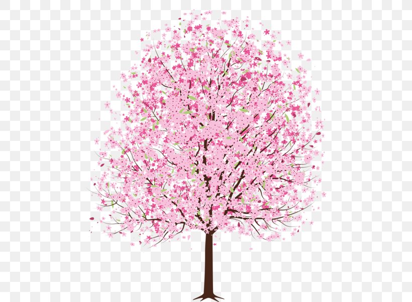 Cherry Blossom Clip Art, PNG, 494x600px, Cherry Blossom, Apples, Blossom, Branch, Cherry Download Free