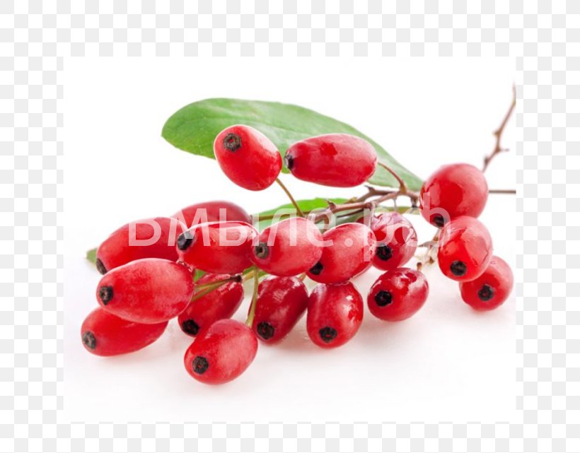 Common Barberry Dried Fruit Berberis Thunbergii Goji, PNG, 641x641px, Common Barberry, Barberry, Berberis Thunbergii, Berry, Blueberry Download Free