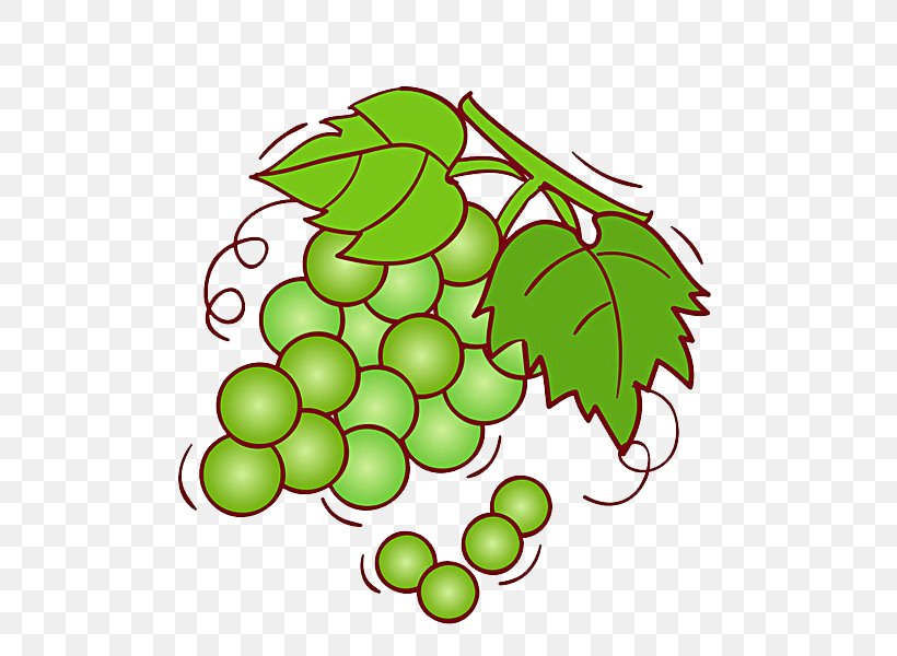 Grape Wine Shine Muscat Fruit Illustration, PNG, 600x600px, Grape, Branch, Common Grape Vine, Flora, Floral Design Download Free