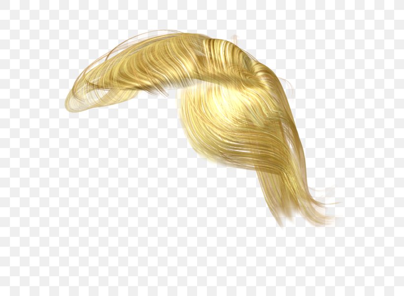 Hair Photography, PNG, 600x600px, 3d Computer Graphics, Hair, Alpha Compositing, Caricature, Donald Trump Download Free