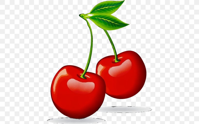 Natural Foods Cherry Plant Fruit Leaf, PNG, 512x512px, Watercolor, Cherry, Flowering Plant, Food, Fruit Download Free