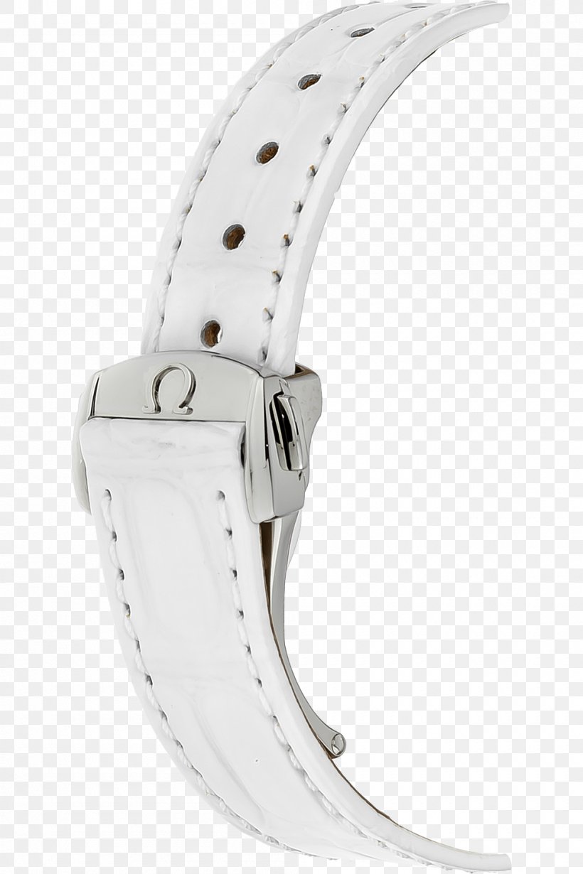 Watch Strap Product Design Silver, PNG, 1000x1500px, Watch Strap, Clothing Accessories, Fashion Accessory, Metal, Silver Download Free