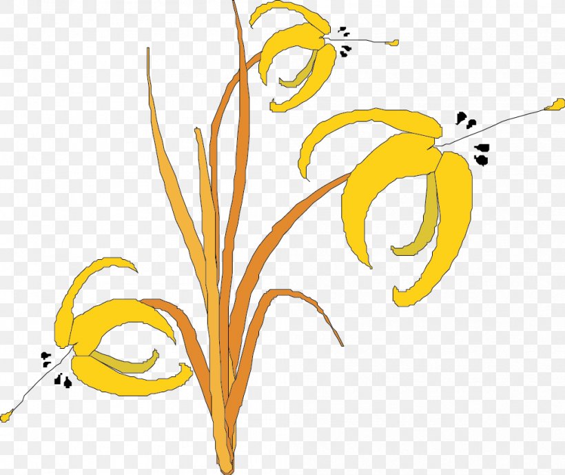 Euclidean Vector Illustration, PNG, 1003x843px, Yellow, Art, Branch, Color, Flower Download Free