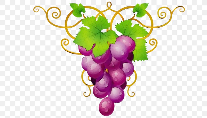 Leaves Background, PNG, 700x467px, Wine, Berries, Common Grape Vine, Flower, Food Download Free