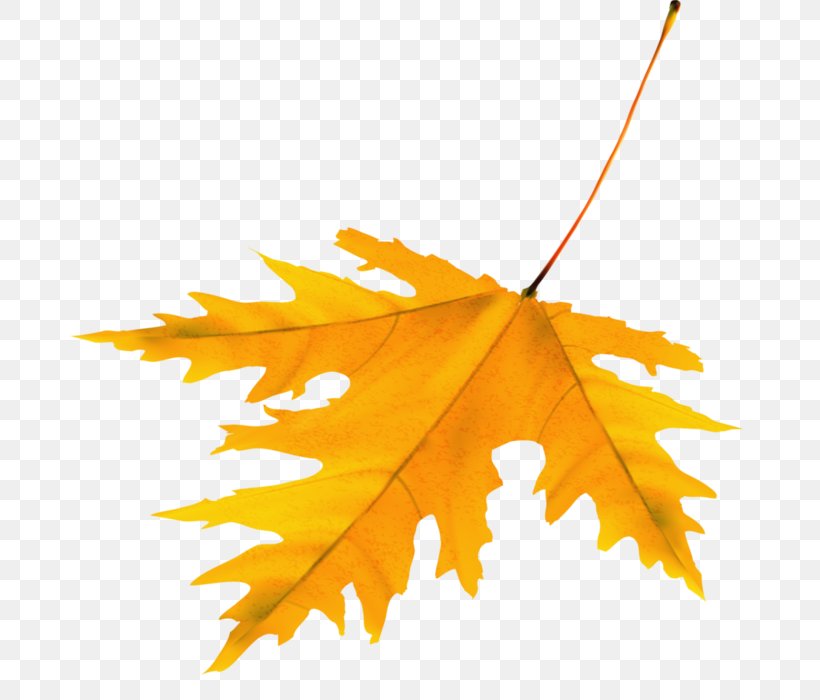 LiveInternet Maple Leaf Diary Clip Art, PNG, 690x700px, Liveinternet, Autumn, Blog, Diary, Digital Image Download Free