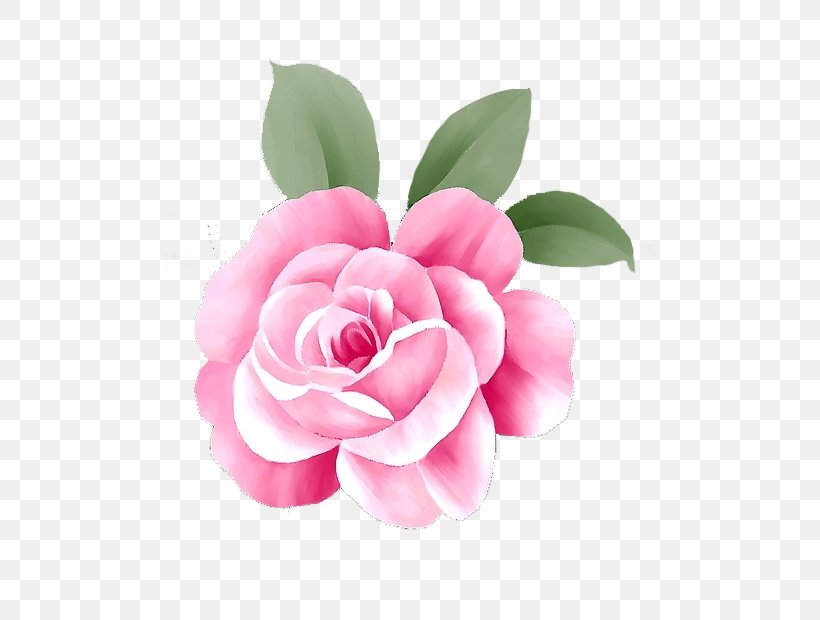 Rosa Chinensis Pink Flower Computer File, PNG, 490x620px, Rosa Chinensis, Artificial Flower, Camellia, Cut Flowers, Designer Download Free