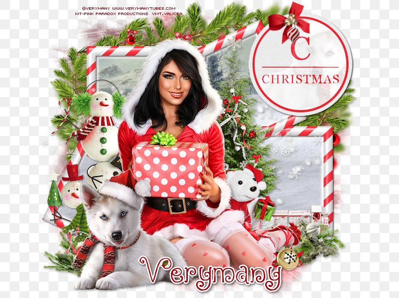 Buon Natale Ornament.Christmas Ornament Dog Breed Buon Natale Christmas Stockings Png 650x614px Christmas Ornament Breed Buon Natale Christmas