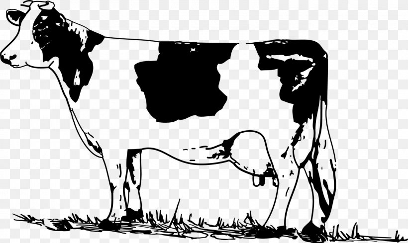 Holstein Friesian Cattle Welsh Black Cattle White Park Cattle Jersey Cattle Clip Art, PNG, 1600x956px, Watercolor, Cartoon, Flower, Frame, Heart Download Free