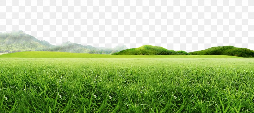 Mountain Idea, PNG, 2500x1110px, Mountain, Agriculture, Animation, Artificial Turf, Crop Download Free