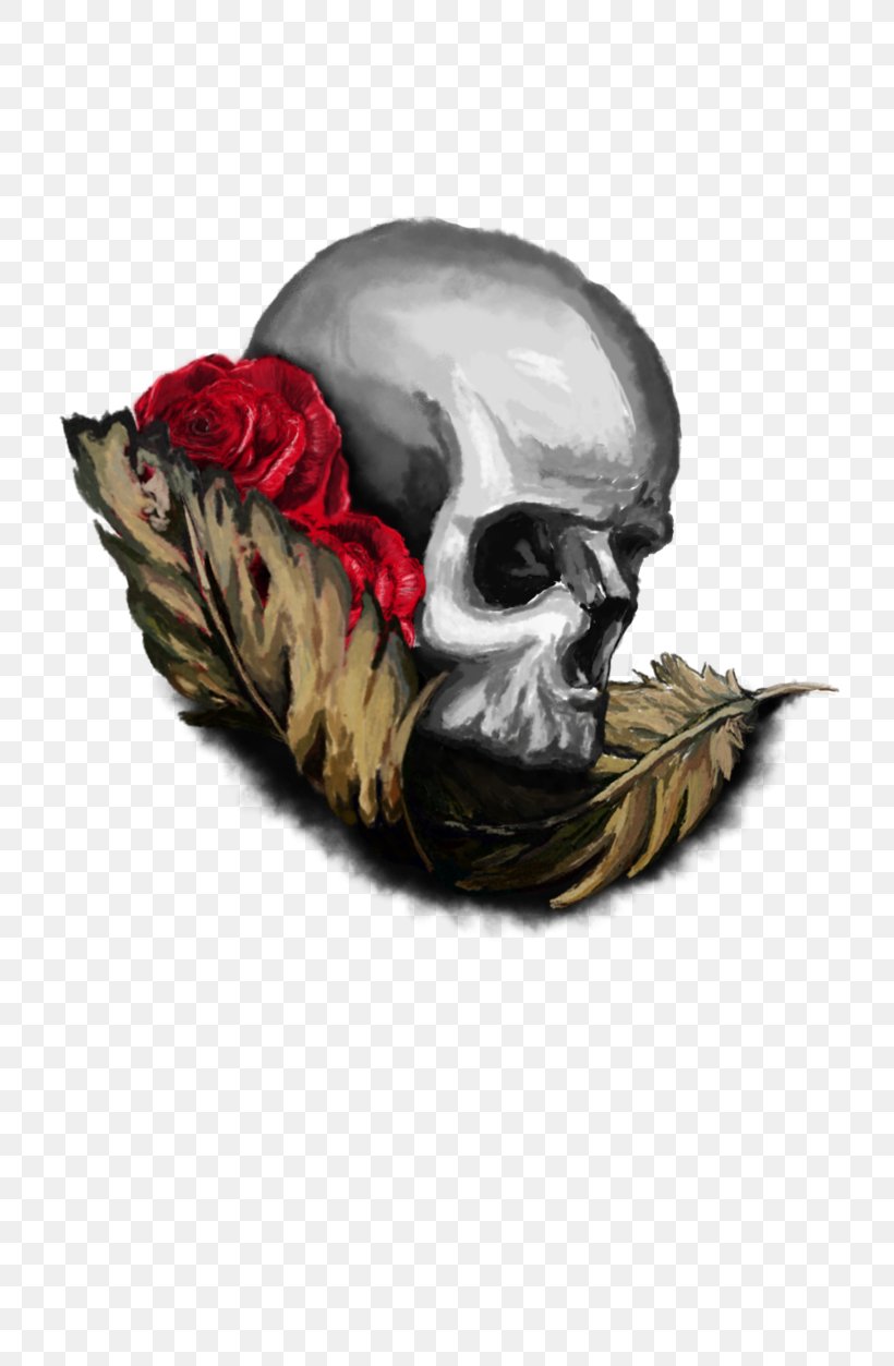 Skull Illustration, PNG, 800x1253px, Skull, Beak, Bone, Wing Download Free