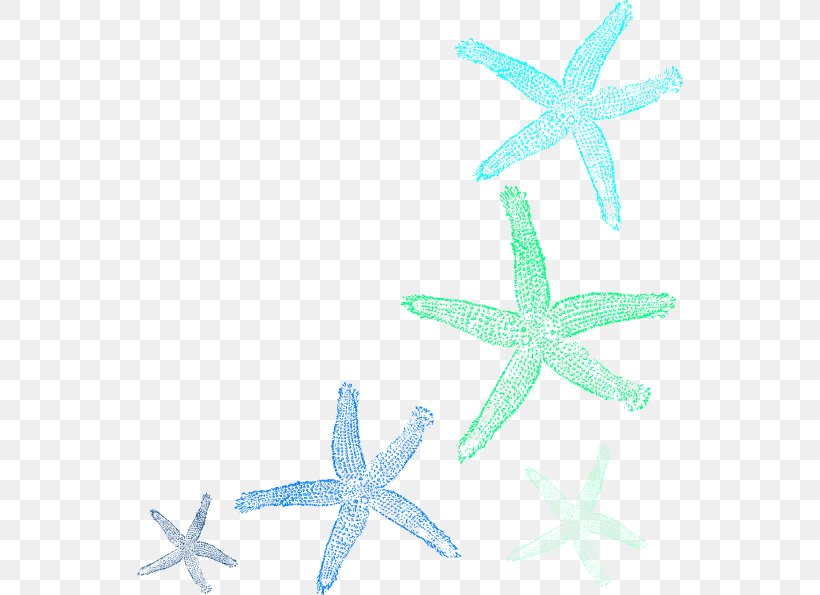 Starfish Clip Art, PNG, 546x595px, Starfish, Aqua, Drawing, Echinoderm, Invertebrate Download Free