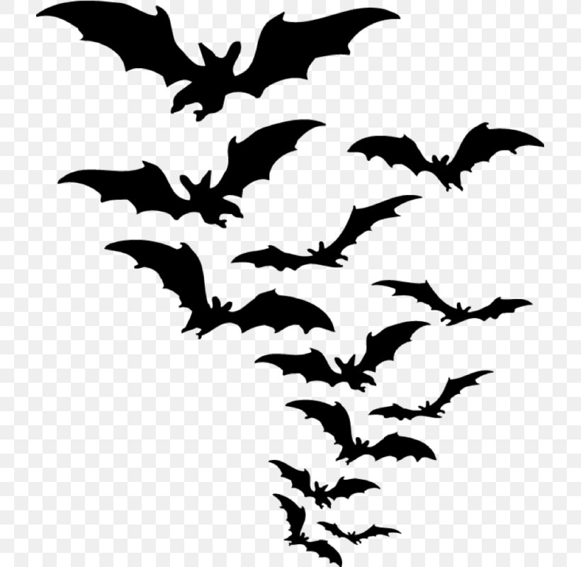 Bat Desktop Wallpaper Clip Art, PNG, 717x800px, Bat, Artwork, Beak, Black And White, Black Flying Fox Download Free
