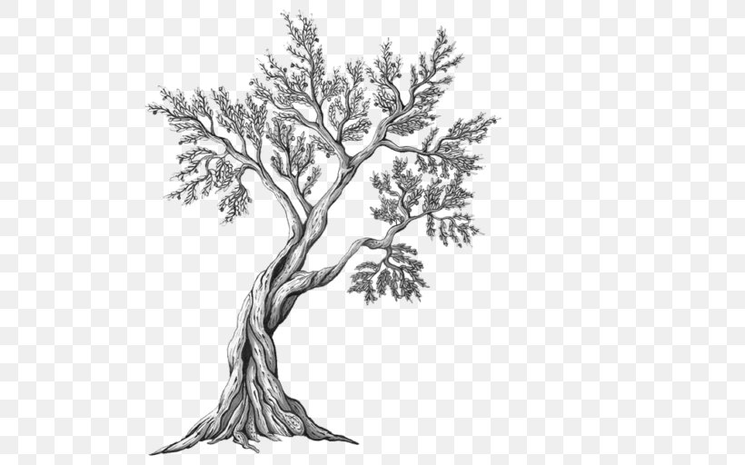 Drawing Painting Tattoo Sketch, PNG, 512x512px, Drawing, Art, Black And White, Branch, Flower Download Free