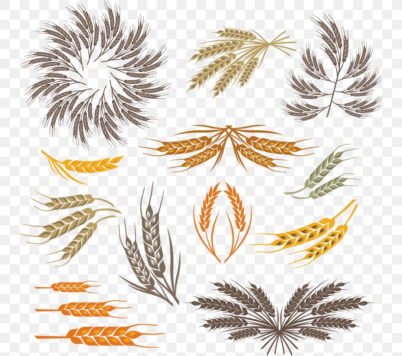 Grasses Leaf Clip Art, PNG, 741x727px, Wheat, Branch, Cereal, Clip Art, Commodity Download Free