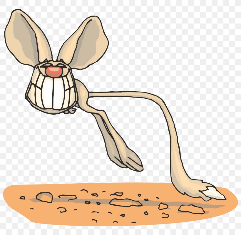 Jerboa Cat Map Clip Art, PNG, 800x800px, Jerboa, Area, Artwork, Cartoon, Cat Download Free