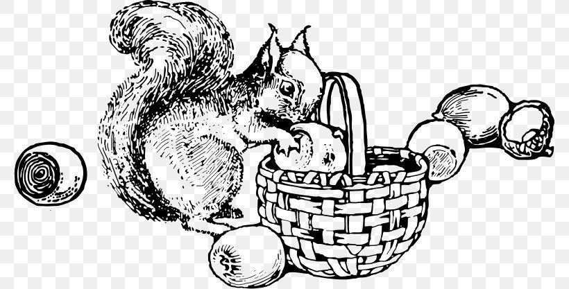 Tree Squirrels A Primer Red Squirrel Drawing Clip Art, PNG, 780x417px, Tree Squirrels, Art, Artwork, Black And White, Body Jewelry Download Free
