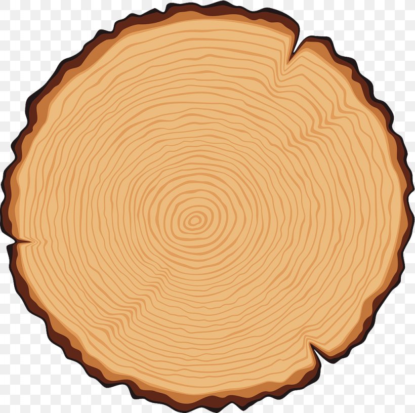 Tree Trunk Cross Section Illustration, PNG, 1024x1020px, Tree, Bark, Cross Section, Cutting, Dishware Download Free