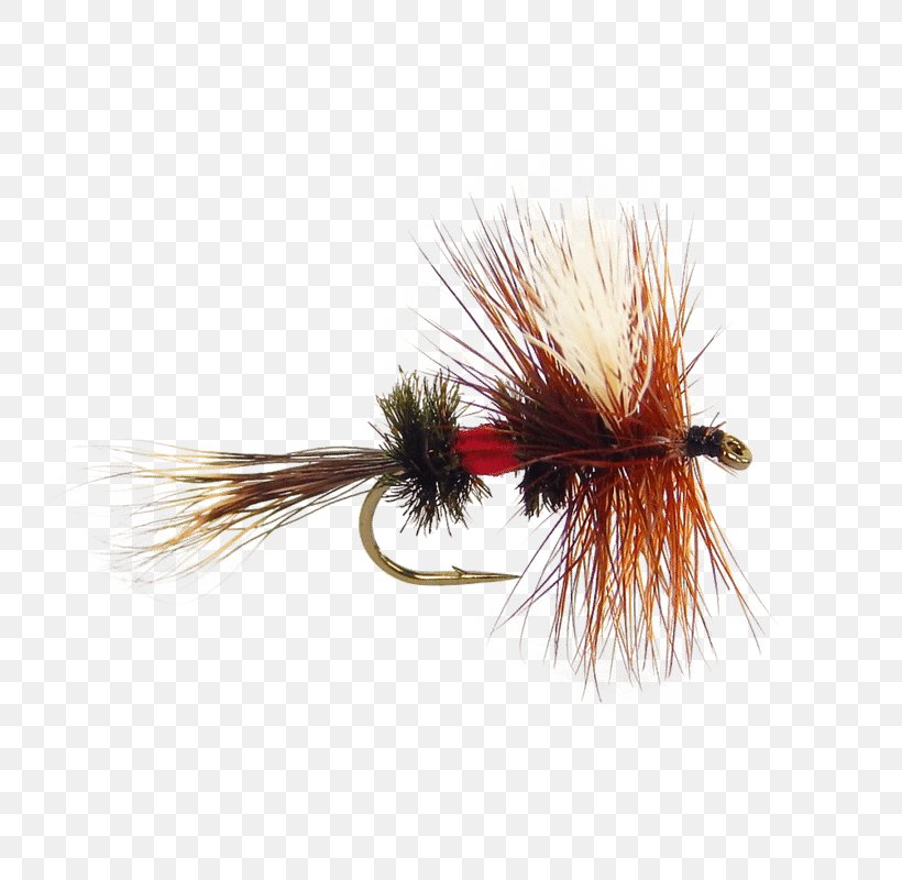 Artificial Fly Royal Wulff Fly Fishing Royal Coachman, PNG, 800x800px, Artificial Fly, Angling, Arthropod, Brook Trout, Caddisfly Download Free