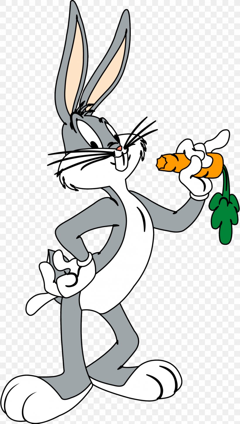 Bugs Bunny Elmer Fudd Daffy Duck Looney Tunes Cartoon, PNG, 1369x2422px, Watercolor, Cartoon, Flower, Frame, Heart Download Free
