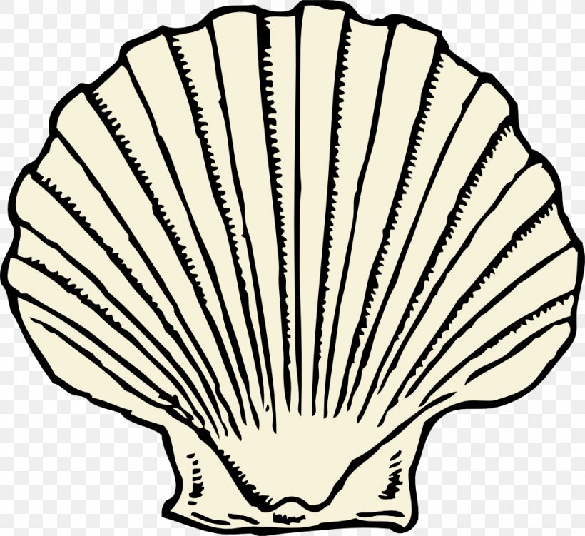 Clam Seashell Clip Art, PNG, 1000x916px, Clam, Artwork, Black And White, Conch, Drawing Download Free