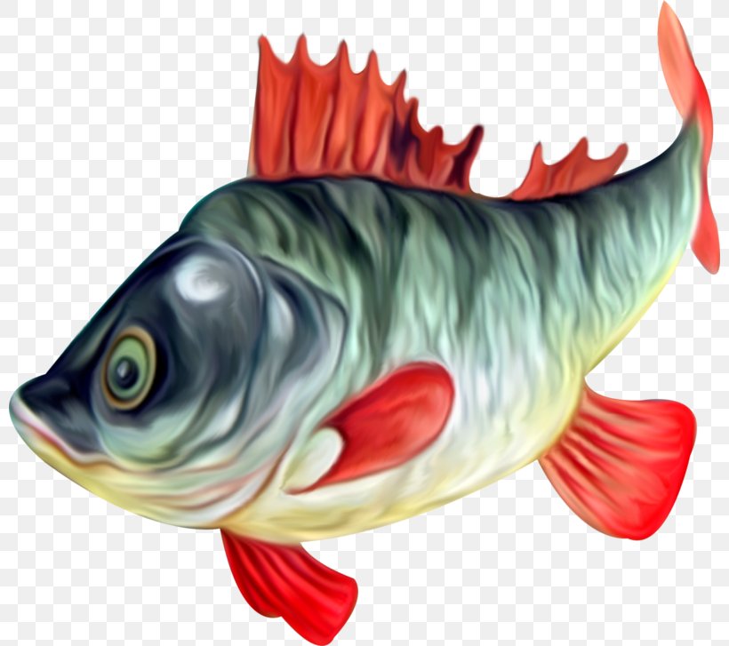 Fish, PNG, 800x727px, Fish, Animal, Bony Fish, Drawing, Pdf Download Free