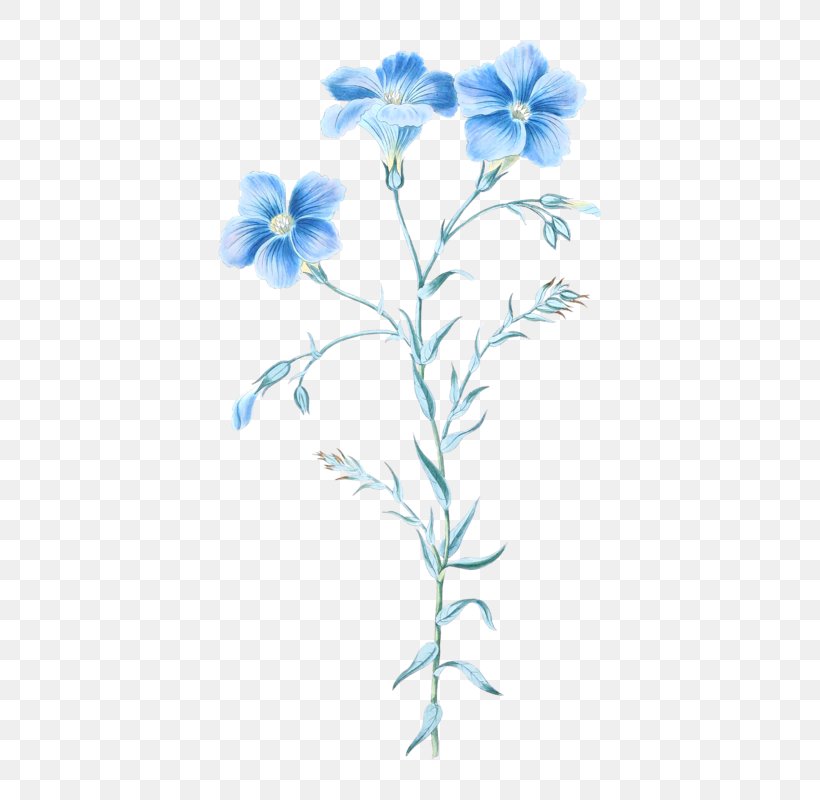 Floral Design Floral Illustrations Clip Art, PNG, 640x800px, Floral Design, Blue, Botanical Illustration, Branch, Chicory Download Free