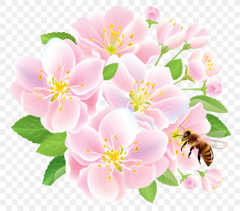 Flower Graphic Design Floral Design, PNG, 1058x930px, Flower, Blossom, Cherry Blossom, Designer, Drawing Download Free