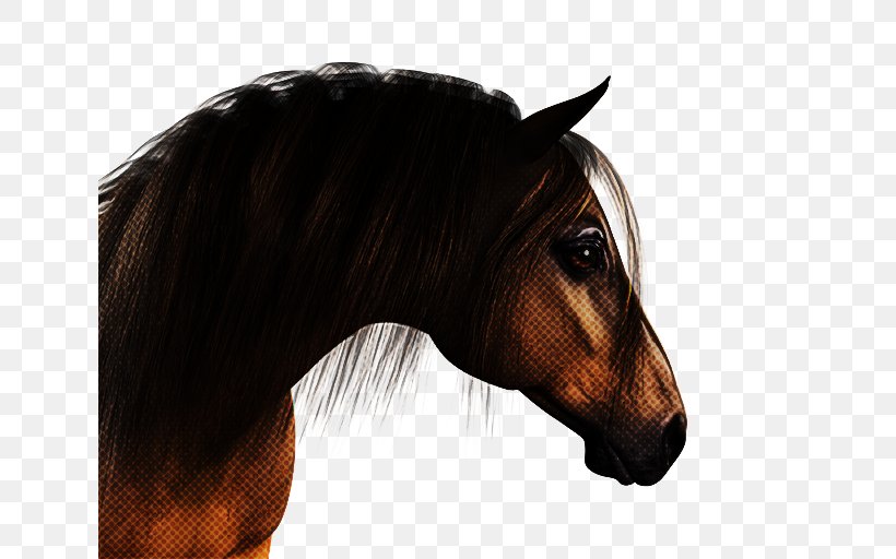Horse Hair Mane Head Sorrel, PNG, 640x512px, Horse, Hair, Head, Mane, Mare Download Free