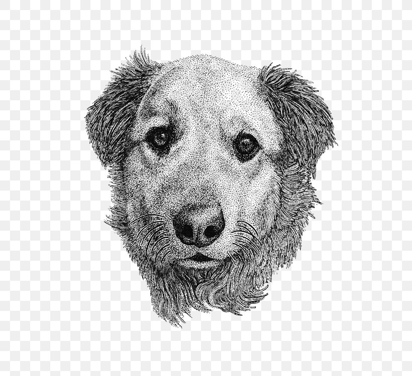 Poodle Puppy Drawing Pet, PNG, 600x750px, Poodle, Artwork, Black And White, Carnivoran, Designer Download Free