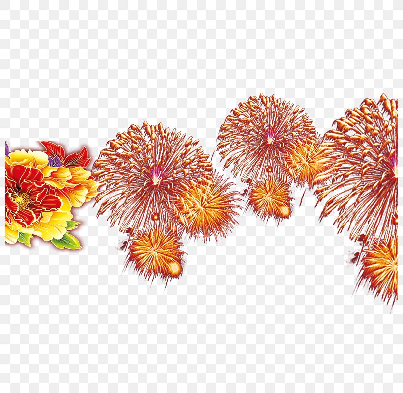 Chinese New Year Fireworks Firecracker, PNG, 800x800px, Chinese New Year, Bainian, Chrysanths, Cut Flowers, Festival Download Free