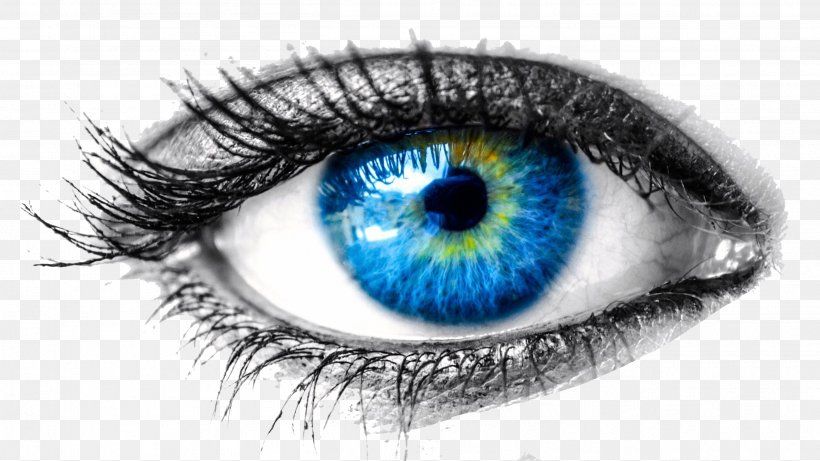 Human Eye Cornea Visual Perception Eye Examination, PNG, 2607x1466px, Watercolor, Cartoon, Flower, Frame, Heart Download Free