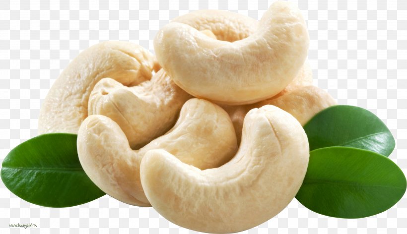 Cashew India Nut Accessory Fruit Food, PNG, 3109x1793px, Cashew, Accessory Fruit, Almond, Cashews, Dried Fruit Download Free