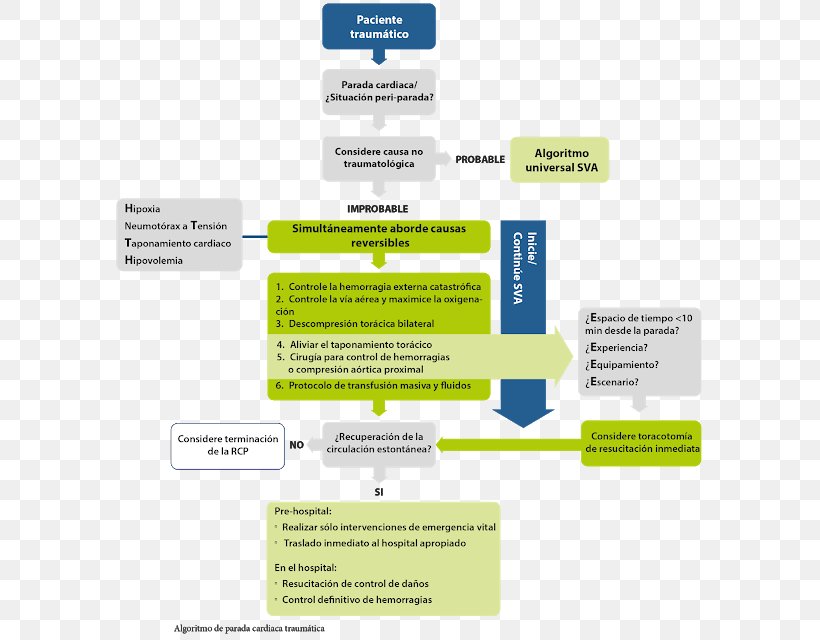 European Resuscitation Council Cardiopulmonary Resuscitation Cardiac Arrest Resuscitation Council (UK) Acute Coronary Syndrome, PNG, 593x640px, 2015, European Resuscitation Council, Acute Coronary Syndrome, American Heart Association, Brand Download Free