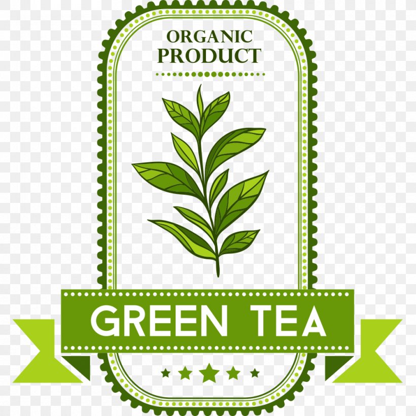 Green Tea Tea Culture, PNG, 1000x1000px, Tea, Brand, Grass, Gratis, Green Tea Download Free