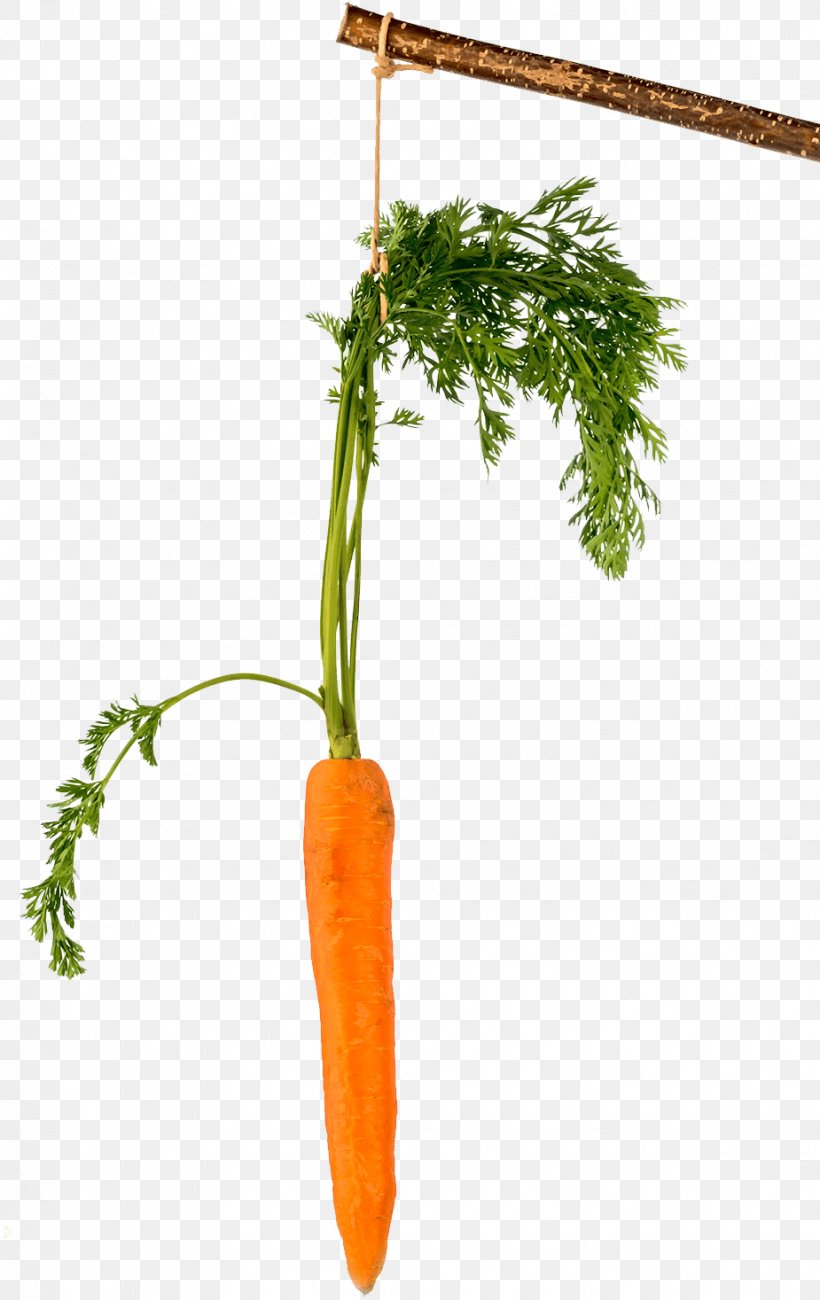 Fototapeta Carrot Stick Figure Climbing, PNG, 925x1467px, Fototapeta, Carrot, Climbing, Du Hast, Film Still Download Free