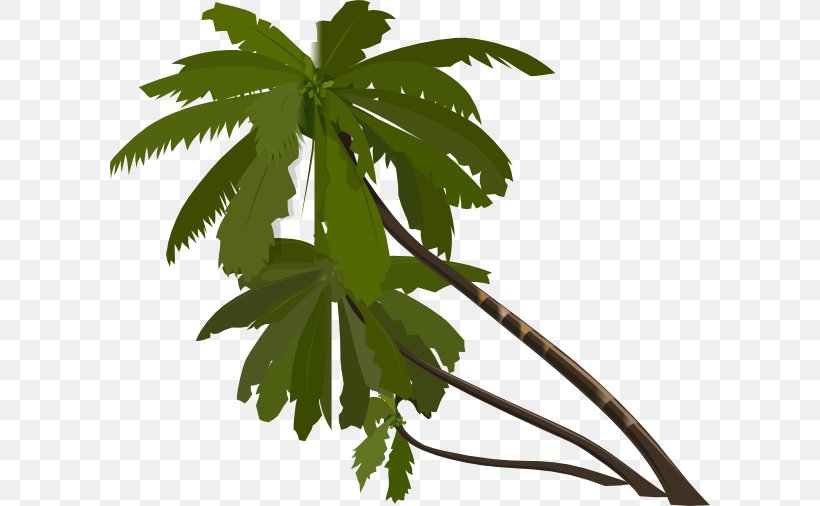 Arecaceae Drawing Clip Art, PNG, 600x506px, Arecaceae, Blog, Branch, Coconut, Drawing Download Free