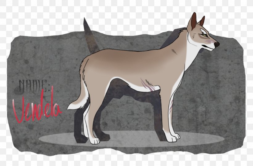 Dog Breed Ibizan Hound, PNG, 1104x723px, Dog Breed, Breed, Carnivoran, Dog, Dog Breed Group Download Free